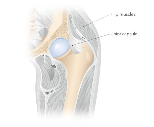 osteoarthritis specialisták fájó fájdalom a lábak hátsó részén